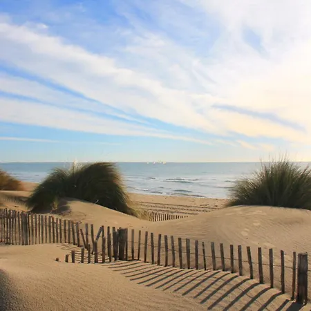 Echappee Marine - Du Grau-du-roi Daire